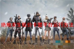 绝地求生低价卡盟平台如何正常运行？绝地求生低价卡盟平台运行方法