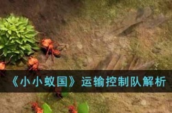 小小蚁国运输控制队强度分析一览