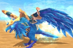 创造与魔法坐骑在哪里？创造与魔法坐骑位置一览