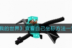 我的世界怎么查看自己的坐标？我的世界查看自己的坐标方法一览
