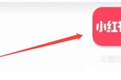 小红书怎么申请品牌合作？小红书怎么申请品牌合作的方法