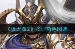 极无双2张辽怎么样？极无双2张辽角色图鉴一览