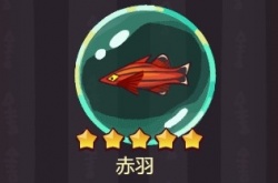 咸鱼之王鱼灵怎么获得 鱼灵搭配技巧