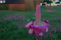 幻塔3.2版本中泰坦魔芋探索怎么解密?幻塔泰坦魔芋探索解密攻略