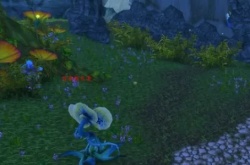 魔兽世界怀旧服雪莲花在哪里采集？魔兽世界怀旧服雪莲花采集位置一览