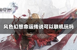 风色幻想命运传说是单机吗？可以和别人联机吗？