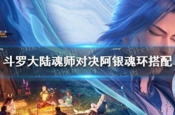 斗罗大陆阿银搭配唐昊？阿银搭配唐昊魂环怎么配