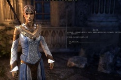 上古卷轴OL简中机翻遭痛批 满屏中文看不懂