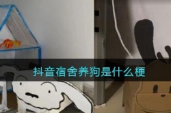 抖音宿舍养狗是什么梗？抖音宿舍养狗是真的吗？