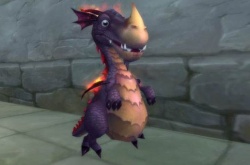 魔兽世界小黑龙？魔兽世界小黑龙在哪里掉落