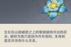 原神劫波莲采集路线 草神纳西妲劫波莲采集位置攻略