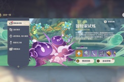 原神冒险家试炼第四天攻略,定序试炼其四图文通关流程