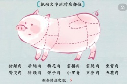 汉字神操作猪猪超可爱怎么过关？拖动文字到对应部位通关攻略