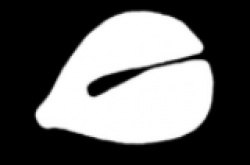 木鱼app安卓版2022最新正版下载 木鱼app下载安卓