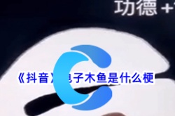 抖音上很火的电子木鱼,抖音上很火的电子木鱼是什么梗