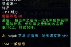 巫妖王之怒各声望奖励蓝色？魔兽世界前期必拿的饰品推荐