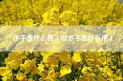 水手是什么意思？QQ群里的水手是什么意思