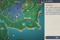 原神画外旅照青植之篇宵宫位置在哪里?