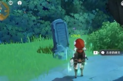 循仙踪兮天遒任务攻略 原神循仙踪兮天遒怎么接