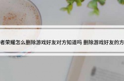 王者怎么删好友不让对方看到？原来对方王者删你了就没有了