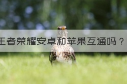 苹果王者荣耀和安卓互通吗？王者荣耀安卓苹果能不能互通