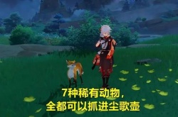 原神最值得抓的动物 原神最稀有的7种动物都有哪些
