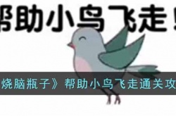 烧脑瓶子帮助小鸟飞走怎么过?烧脑瓶子帮助小鸟飞走通关攻略