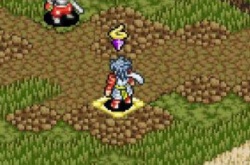 皇家骑士团外传占卜攻略,皇家骑士团外传攻略