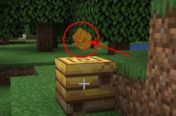 我的世界魔法金属养蜂？我的世界怎么养蜜蜂