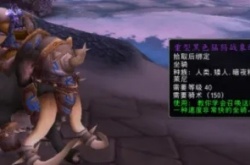 魔兽世界怀旧服wlk宝库 魔兽世界怀旧服wlk阿尔卡冯的宝库怎么进入