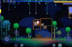 泰拉瑞亚大宝箱怪如何无伤速刷?泰拉瑞亚大宝箱怪无伤速刷攻略