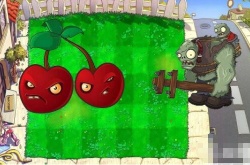 植物大战僵尸公认的五强植物？植物大战僵尸公认的五强植物是什么