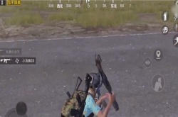 和平精英段位什么时候重置？和平精英段位重置规则