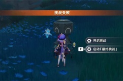 2022原神反雷电将军特训bug,原神反雷电将军特训任务BUG过关法