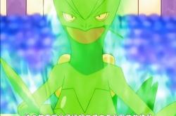 神奇宝贝18属性相克表图,神奇宝贝18种属性克制表