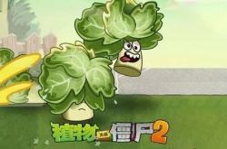 免费获得机枪豌豆的礼包码？植物大战僵尸25阶机枪豌豆永久激活码