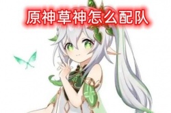 原神草神新手队伍,原神草神怎么配队一览