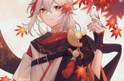  原神五星男角色人气排行,原神五星男角色人气排行最新