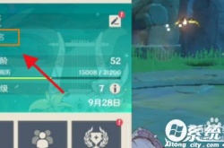 原神双改号如何绕过实名 原神双改号绕过实名的办法