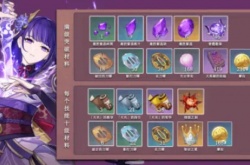 原神雷神突破材料有哪些,原神雷神突破材料一览