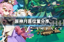 原神月莲多久刷新一次 原神月莲怎么获得