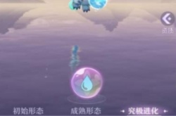 长安幻想小白龙打书怎么样 长安幻想角色打书攻略