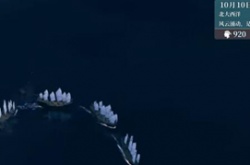 风帆纪元加拉帕戈斯在哪 风帆纪元加拉帕戈斯位置分享