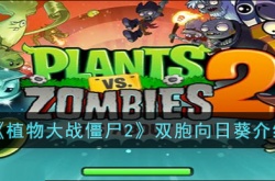 植物大战僵尸2双胞向日葵怎么样?植物大战僵尸2双胞向日葵介绍