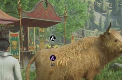 霍格沃茨之遗有求必应屋怎么解锁 霍格沃茨之遗有求必应屋解锁方法