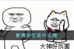 赛博华佗是什么梗?赛博华佗梗含义介绍