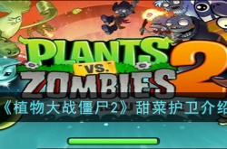 植物大战僵尸2甜菜护卫怎么样？植物大战僵尸2甜菜护卫介绍