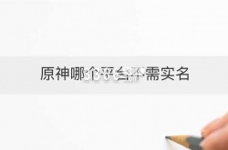 元神跳过实名的软件  原神哪个平台不需实名