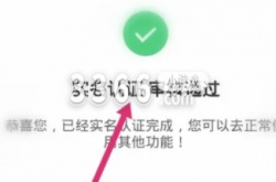 10000个有效的实名认证2022 10000个有效的实名认证2022最新