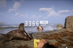 森林之子预计价格 steam森林之子价格一览